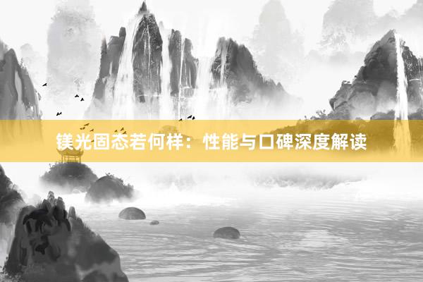 镁光固态若何样：性能与口碑深度解读